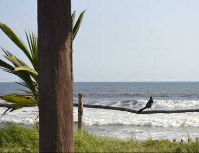 Pelicanos Hotel-Pelicanos Hotel
