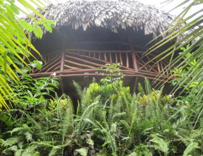 Visita un Hotel Ecológico en medio de la Jungla - The Round House