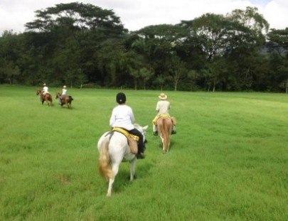 Paseo a Caballo en Jaco, Costa Rica - Discovery Horseback Riding Tours