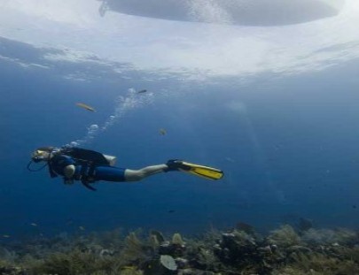  Aprende a Bucear y adquiere el Certificado Open Water - ECOMARINE