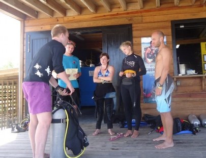 Barefoot Divers-Bucea como un profesional en las aguas cristalinas de Roatán