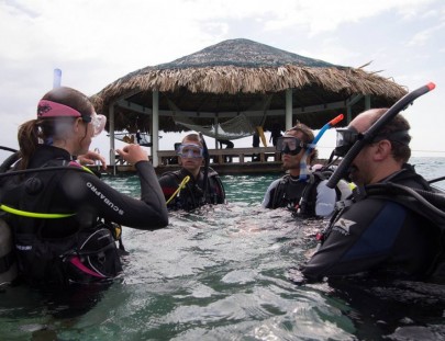Barefoot Divers-Bucea como un profesional en las aguas cristalinas de Roatán