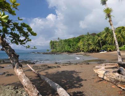 Tierra Verde Aventuras- Crucero de un día a la Isla Tortuga