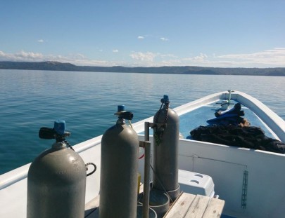 Deep Blue Diving-Excursiones de Buceo únicas en Playas del Coco, Costa Rica