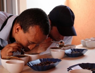 Cata de Café en Bogota - Hansa Tours