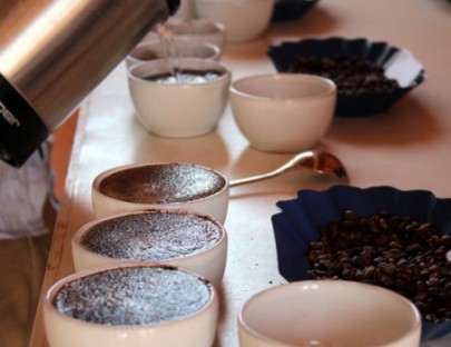 Hansa Tours-Cata de Café en Bogota