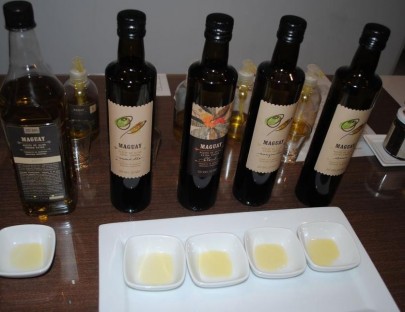Olivicola Maguay-Prueba Nuestros diferentes aceites de oliva