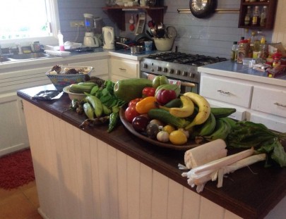 Random Art-Aprende a Cocinar Comida Panameña con Productos Frescos y Nativos