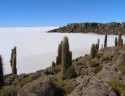 Bolivian Explorer-Explora las Lagunas de Salar de Uyuni