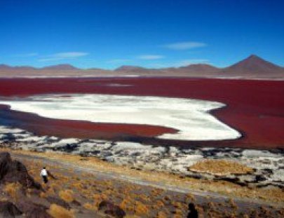Bolivian Explorer-Explora las Lagunas de Salar de Uyuni