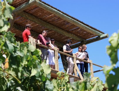 Uncorked Wine Tours-Tour de vino en el Valle de Cochagua